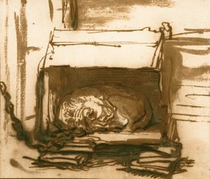 眠っているウォッチドッグ 作： Rembrandt van Rijn